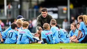 Image result for Drefach Cricket & Football Club