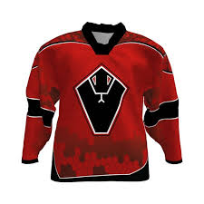 Image result for Vipers Roller Hockey Team