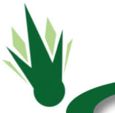 Image result for Oakbrook Badminton Club