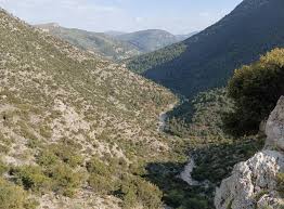 Attēlu rezultāti vaicājumam “Leporida”