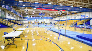 Image result for Thornton Sport Gymnastics