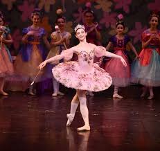 Image result for Magic of Ballet Club