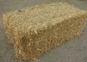 Alfalfa, Oat, Forage, Timothy, Orchard and Grass Hay