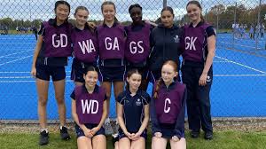 Image result for Sydenham Ladies Netball Club