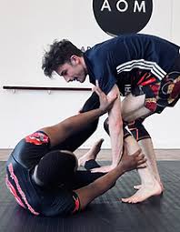 Image result for Bristol Dojo MMA