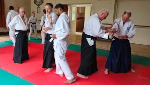 Image result for Ryusui-ryu Martial Arts School East Grinstead