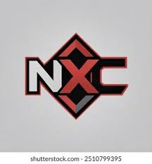 「 N   X ^   { [ C」の画像検索結果