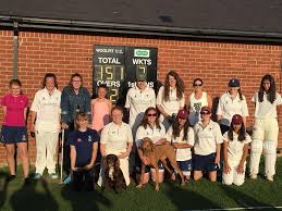 Image result for Woolpit Cricket Club