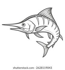 Image result for Kajikia albida