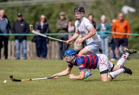 Image result for Skye Camanachd