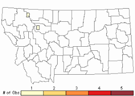 Attēlu rezultāti vaicājumam “Pseudocalliergon turgescens”