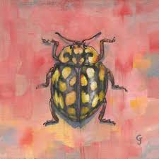 Attēlu rezultāti vaicājumam “Sospita vigintiguttata”