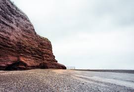 Image result for Dawlish Sc