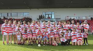 Image result for Ballerin Gaelic Athletic Club