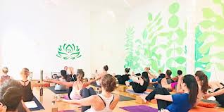Image result for Hatha Yoga Club