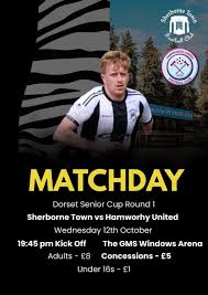 Image result for Sherborne Town Football Club