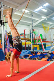 Image result for Harnham Gymnastics Club