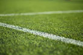 Image result for Astroturf