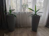 Image result for Конфетти d-23 Кашпо 2109020759412