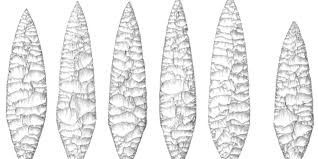 Image result for feuille-laurier-silex