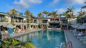 Image result for Mid Beds Swim Squad