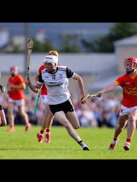 Image result for Moycarkey-Borris Gaa Club