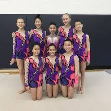Image result for York University Gymnastics Club
