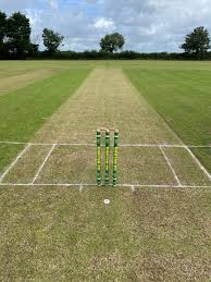 Image result for Narberth Cricket Club