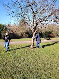 Image result for Derby Bsac