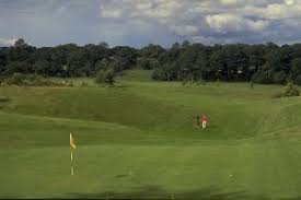 Image result for Carlow Golf Club