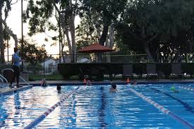 Image result for Loftus Dolphins Swimming Club