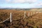 near to Blairnamarrow, Moray, Great Britain. An old gateway on Monadh Fergie - via Daymix
