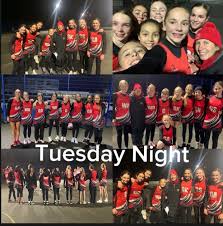 Image result for Robins Netball Club