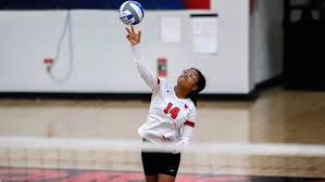 Image result for York University Volleyball Club