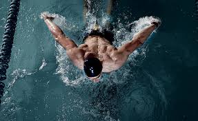 Image result for Swindon Dolphins Swimming Club