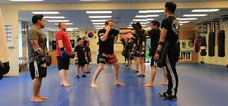 Image result for Muay Thai Clubs