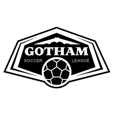 Image result for Gotham Soccer League