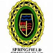 Image result for High Easter Cricket Club