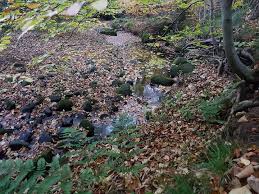 Image result for Prudhoe Golf Club