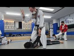 Image result for Chang's Hapkido Club