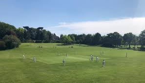 Image result for Oakfield Cricket Club