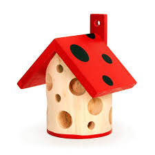 Image result for ladybug house
