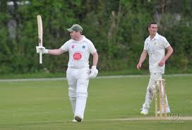 Image result for Yelverton Bohemians Cricket Club