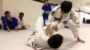 Image result for Unity School Of Jiu Jitsu