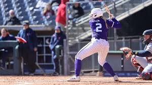 Image result for Lions Softball Club