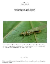 Attēlu rezultāti vaicājumam “Plecoptera”