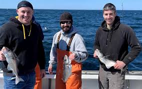 Image result for Newhaven Deep Sea Anglers