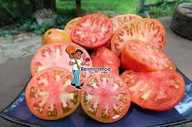 Afbeeldingsresultaat voor butter and bull heart tomato