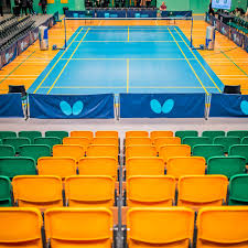 Image result for Northampton Nighthawks Badminton Club