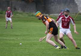 Image result for Causeway Hurling Club